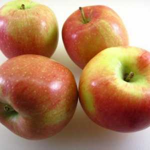 Apple Tree „Bjeloruski slatko”: opis sorte, fotografija, nijanse sadnju i njegu