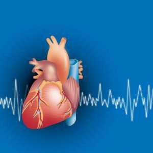 EKG stopa od osnovnih pokazatelja