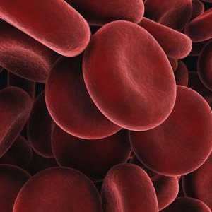Crvene krvne stanice su povećani u djetetu: koji su razlozi