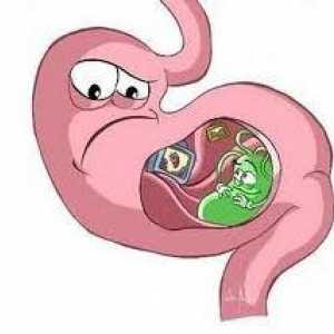 Potrebno je znati: simptomi i liječenje gastritisa