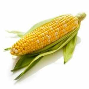 Kako čuvati kukuruza na klip? naučiti