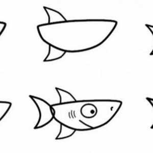 Kako nacrtati morskog psa: majstorskim tečajevima za različite uzraste