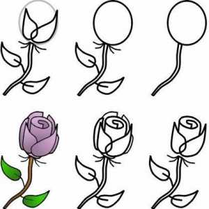 Kako crtati buket ruža olovku i akvarel