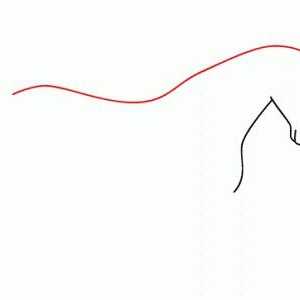 Kako nacrtati konja korak po korak: jednostavan sklop