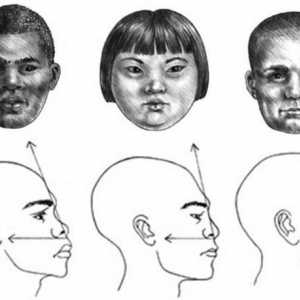 Kako crtati djevojka profil lice, dijete i odraslog mužjaka