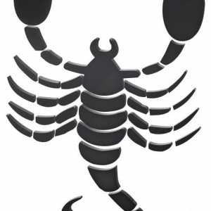 Kako crtati škorpiona: Korak po korak upute