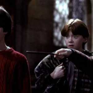 Što nazvati prvi dio „Harryja Pottera”? Mi učimo!