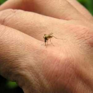 Kako se osloboditi uboda komaraca u djece?
