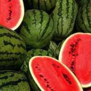 Kako odrediti zrelosti lubenice: osnovna načina