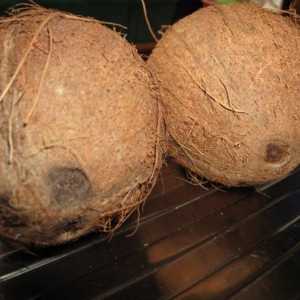 Kako otvoriti kokos kod kuće, bez gubitka i uz minimalan napor
