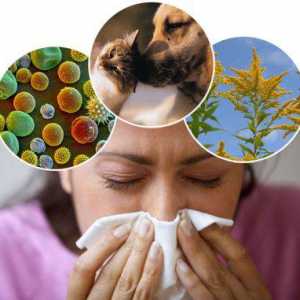 Kako razlikovati alergiju od prehlade - što je razlika
