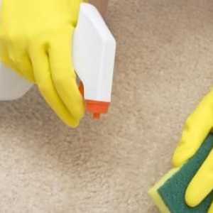 Kako očistiti tepih kod kuće? Vrlo jednostavno!