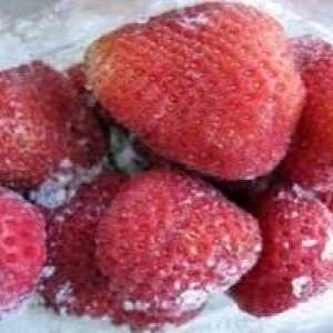 Kako da zamrzne jagode u zimi