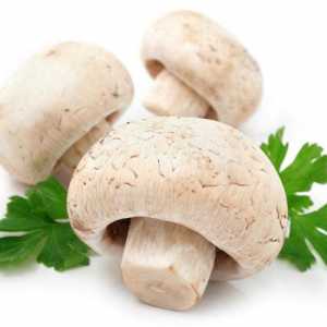Kako kiseliti gljiva kod kuće: jednostavne recepte omiljenih jela