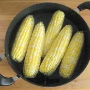 Kako kuhati kukuruza na klip: nekoliko praktičnih savjeta
