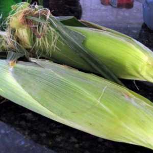 U multivarka „Redmond” kuhati kukuruz? Recepti za Multivarki…