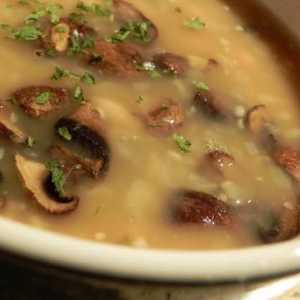Kako kuhati micelij (juha od gljiva)?