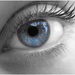 Ono što je potrebno gimnastikom za oči za poboljšanje vida