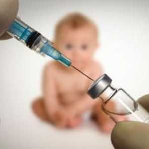 Što je potrebno za dijete cijepljenje u godini?