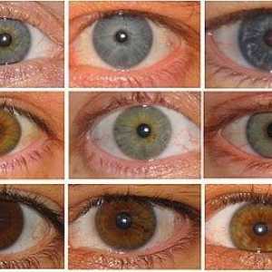 Koja boja očiju je dijete?