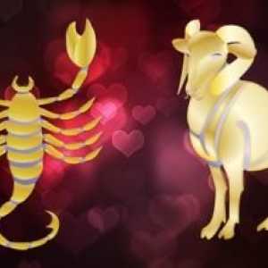 Što je ljubav i duhovna kompatibilnost ovan i škorpion?