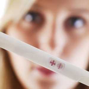 Koje su šanse za dobivanje trudna iz prvog pokušaja? Kada je velika vjerojatnost za dobivanje…