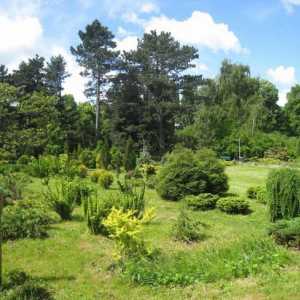 Botanički vrt Kalinjingrad u radu, fotografije, službene web stranice i kako da biste dobili