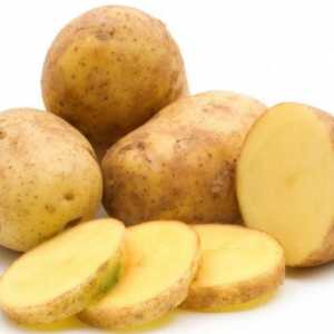 Krumpir „Gala”: opis sorte