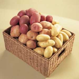 Krumpir „Ročko”: karakteristične za sortu, recenzije