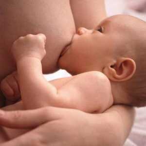 Kada se mlijeko dolazi poslije rođenja? njegove karakteristike