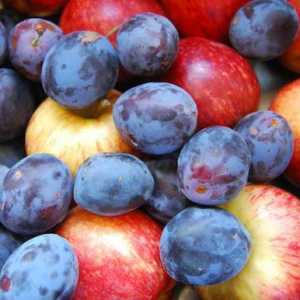 Kompot od šljiva i jabuka za zimu: jednostavni recepti