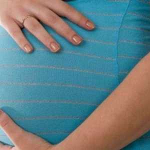 Veliki fetus tijekom trudnoće: karakteristike i njegov postupak isporuke