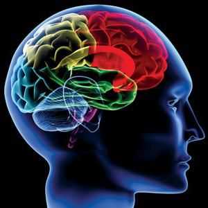 CT mozga: indikacije i kontraindikacije