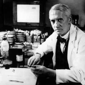 Koji je otkrio penicilin? Povijest otkrića penicilina