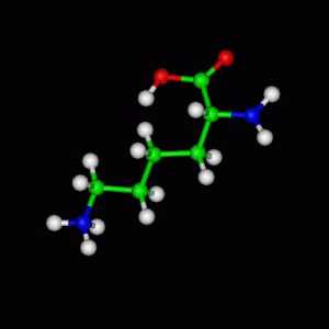 L-lizin: karakterizacija i primjena određenog aminokiseline