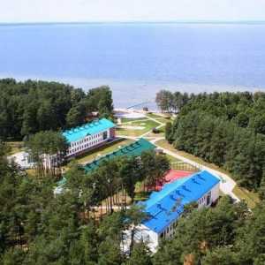 Kamp „Zubrenok” u Bjelorusiji: recenzije