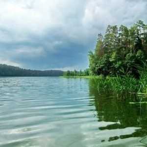 Lake Forest Bjelorusija - priča divljači
