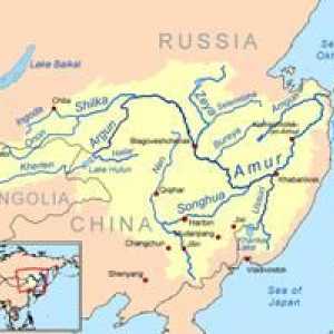 Lijeva i desna pritoka šarana. Popis pritoka rijeke Amur