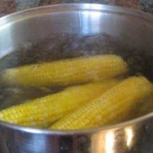 Pismenost kampanje: kako brzo kuhati kukuruz