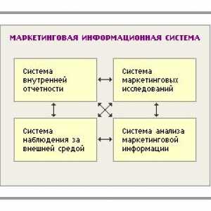 Informacijski sustav