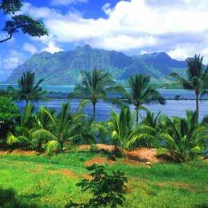 Marquesas Islands. Otoci u Tihom oceanu