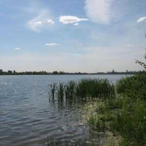 "Bear Lake", Shchelkovo distrikt: rekreacija, ribolov, mišljenja