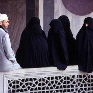 Poligamija u islamu: uvjeti, pravila. Zašto je poligamija dopuštena u islamu?