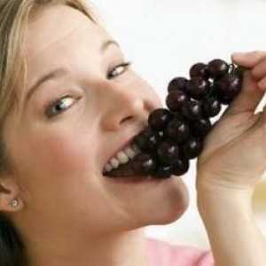 Je li moguće da jedu grožđe sa sjemenkama? Idemo razumjeti!