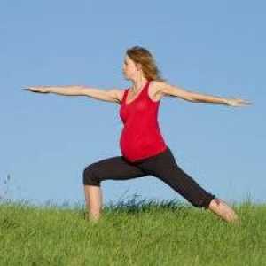 Mogu li se sportom tijekom trudnoće? Je li to vrijedi odustati aktivan odmor?