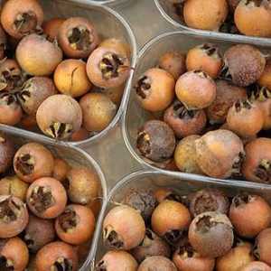 Kavkaski mušmula - neobična voće