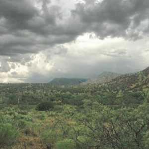 Monsun klime: značajke i geografija