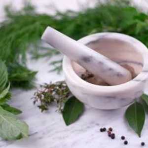 Tradicionalna medicina bilje za čišćenje tijela