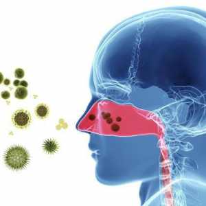 Curenje iz nosa i kihanje bez temperature: mogući uzroci, liječenje