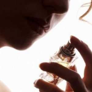 Stvarni Francuski parfem - svake žene san